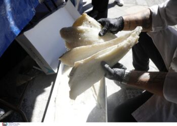 25η Μαρτίου: Οδηγίες για την αγορά μπακαλιάρου