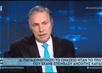 Παπαδημητρίου: «Κάνουμε όσα δεν μπορούν ή δεν θέλουν να κάνουν άλλοι»