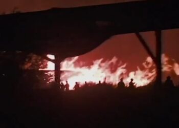 Πύρινη λαίλαπα κατακαίει εκτάσεις στα νότια της χώρας