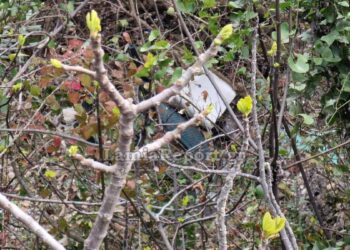 Αγωνιστικό αυτοκίνητο βρέθηκε σε γκρεμό στο «Ράλλυ Σπριντ Μπράλου»