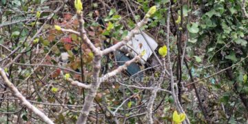 Αγωνιστικό αυτοκίνητο βρέθηκε σε γκρεμό στο «Ράλλυ Σπριντ Μπράλου»