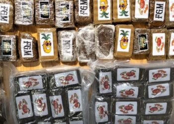 Γόνοι εύπορων οικογενειών είχαν στήσει το «σούπερ μάρκετ» ναρκωτικών στη ΝΑ Αττική – Τα «έκρυβαν» μέσα σε συσκευασίες χυμού ή λαδιού