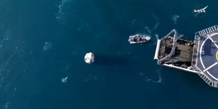 Ένα κοπάδι από «περίεργα» δελφίνια υποδέχθηκε τους αστροναύτες της NASA