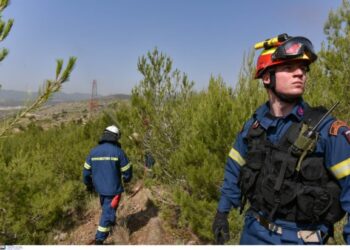 Πυροσβεστική: Σε ισχύ από 1η Μαΐου η αντιπυρική περίοδος