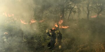 Κεφαλονιά: Δασική πυρκαγιά στο Λιβάδι