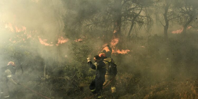 Κεφαλονιά: Δασική πυρκαγιά στο Λιβάδι