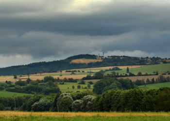 Πεζοπόροι ανακάλυψαν τυχαία σε δάσος θησαυρό με νομίσματα τεράστιας αξίας