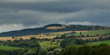 Πεζοπόροι ανακάλυψαν τυχαία σε δάσος θησαυρό με νομίσματα τεράστιας αξίας