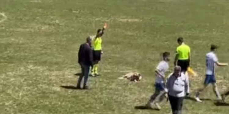 Διαιτητής δείχνει κόκκινη κάρτα σε σκύλο που… αρνείται να βγει από τον αγωνιστικό χώρο