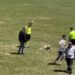 Διαιτητής δείχνει κόκκινη κάρτα σε σκύλο που… αρνείται να βγει από τον αγωνιστικό χώρο