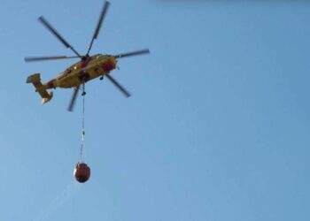 Ηλεία: Φωτιά σε δασική έκταση στα Καλυβάκια