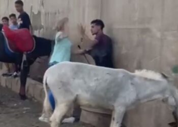 Βίντεο: «Νομίζεις ότι είσαι κανονικός;»