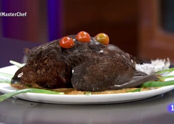 Οι κριτές έμειναν με το στόμα ανοιχτό – Αντίκρισαν το χειρότερο πιάτο στην ιστορία του ριάλιτι μαγειρικής