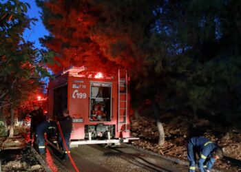 Υπό έλεγχο η φωτιά στον Βοτανικό