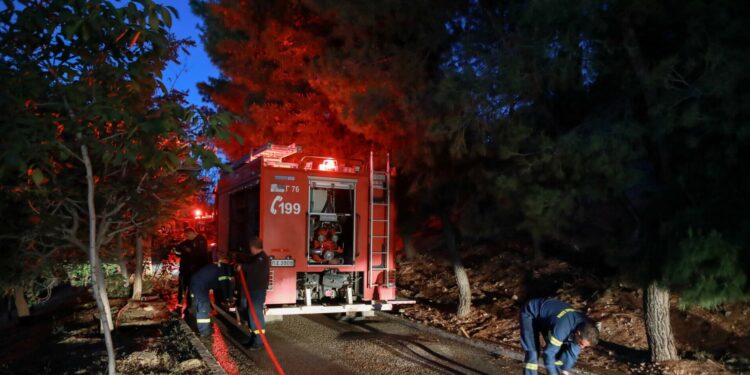 Υπό έλεγχο η φωτιά στον Βοτανικό