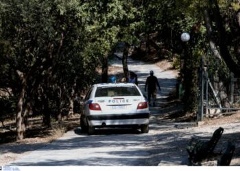 Ισόβια στον 30χρονο για την άγρια δολοφονία μιας 35χρονης μητέρας 