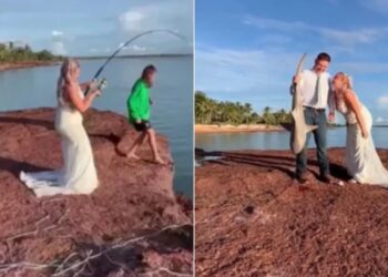 Επικό βίντεο: Νύφη ψάρεψε καρχαρία κατά τη διάρκεια των γαμήλιων φωτογραφιών