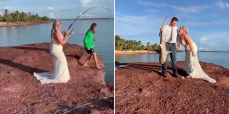 Επικό βίντεο: Νύφη ψάρεψε καρχαρία κατά τη διάρκεια των γαμήλιων φωτογραφιών