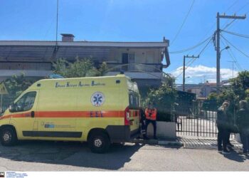 Τι λέει η ΕΛΑΣ για το παρελθόν του 23χρονου δράστη και τις συλλήψεις του για ενδοοικογενειακή βία