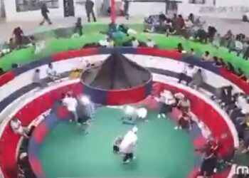 Ισημερινός: Βίντεο – σοκ από τη στιγμή που ένοπλοι ανοίγουν πυρ εναντίον θεατών σε κοκορομαχίες