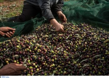 Δασμοί Τραμπ: Οι στόχοι της ελληνικής κυβέρνησης μπροστά στο νέο οικονομικό τοπίο