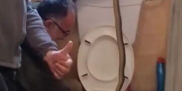 Έβγαλαν φίδι από λεκάνη τουαλέτας στην Καστοριά