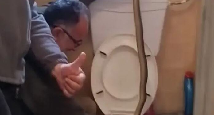 Έβγαλαν φίδι από λεκάνη τουαλέτας στην Καστοριά