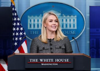 Ατίθασο περιστέρι στον κήπο, ποντίκι στην αίθουσα ενημέρωσης