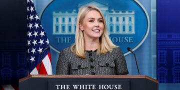 Ατίθασο περιστέρι στον κήπο, ποντίκι στην αίθουσα ενημέρωσης