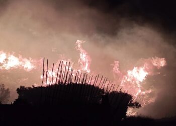 Φωτιά στην Κερατέα – Μεγάλη κινητοποίηση της Πυροσβεστικής