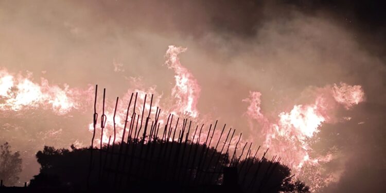 Φωτιά στην Κερατέα – Μεγάλη κινητοποίηση της Πυροσβεστικής