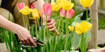 Ο μυστικός κήπος των 20 δισ. δολαρίων