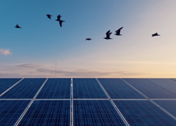 Metlen: Συμφωνία – ορόσημο με την Glenfarne για mega-υβριδικό έργο ΑΠΕ στη Χιλή