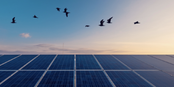 Metlen: Συμφωνία – ορόσημο με την Glenfarne για mega-υβριδικό έργο ΑΠΕ στη Χιλή