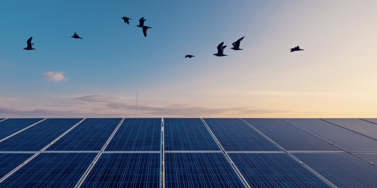 Metlen: Συμφωνία – ορόσημο με την Glenfarne για mega-υβριδικό έργο ΑΠΕ στη Χιλή