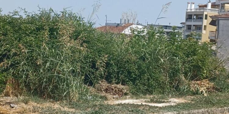 Δόθηκε και επίσημα η παράταση έως 15 Ιουνίου