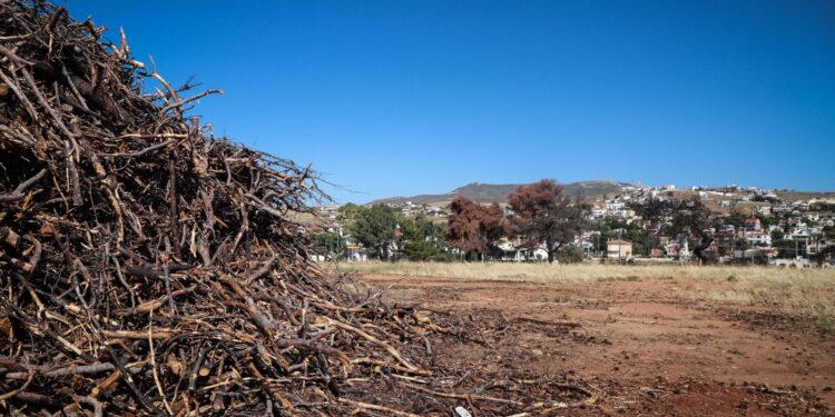 Οι υπόχρεοι – Η διαδικασία και τα πρόστιμα