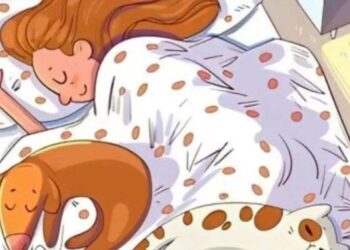 Μόνο αν έχεις αετίσια ματιά θα βρεις το πουλί σε 7 δευτερόλεπτα