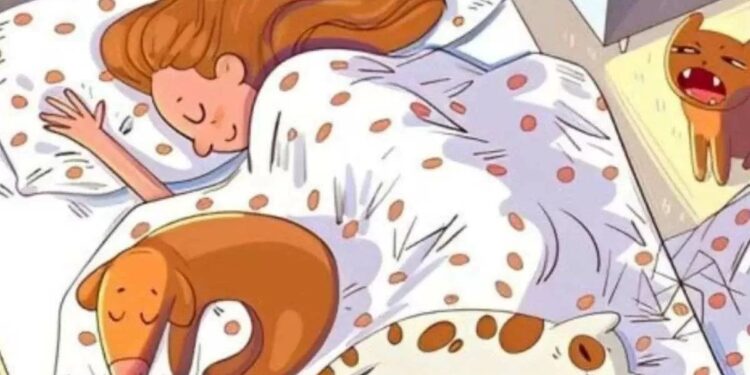 Μόνο αν έχεις αετίσια ματιά θα βρεις το πουλί σε 7 δευτερόλεπτα