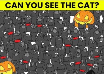 Μόνο αν έχεις αετίσια ματιά θα βρεις την γάτα σε 7 δευτερόλεπτα