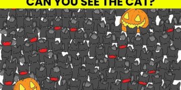 Μόνο αν έχεις αετίσια ματιά θα βρεις την γάτα σε 7 δευτερόλεπτα