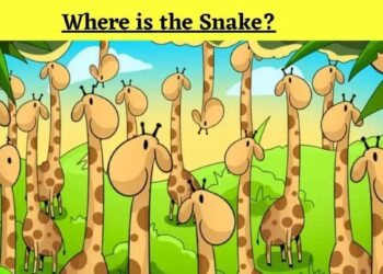 Μόνο αν έχεις παρατηρητικότητα ντετέκτιβ θα βρεις το φίδι σε 6 δευτερόλεπτα
