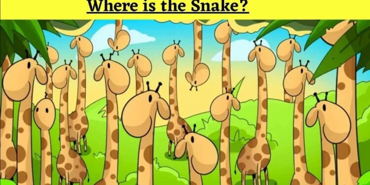 Μόνο αν έχεις παρατηρητικότητα ντετέκτιβ θα βρεις το φίδι σε 6 δευτερόλεπτα