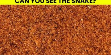 Μόνο το 1% των ανθρώπων θα βρει το φίδι σε 5 δευτερόλεπτα