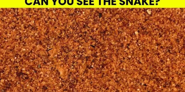 Μόνο το 1% των ανθρώπων θα βρει το φίδι σε 5 δευτερόλεπτα