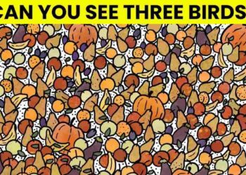 Μόνο το 2% των ανθρώπων θα βρει τα 3 πουλιά σε 6 δευτερόλεπτα