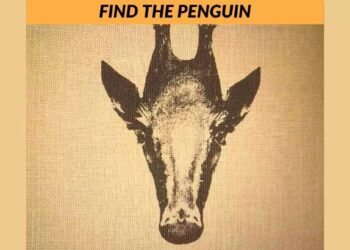 Μόνο το 3% των ανθρώπων μπορεί να βρει τον πιγκουίνος σε 6 δευτερόλεπτα