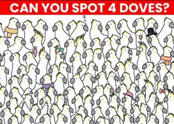 Μόνο το 1% των ανθρώπων θα βρει τα 4 περιστέρια σε 8 δευτερόλεπτα