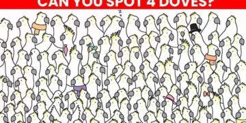 Μόνο το 1% των ανθρώπων θα βρει τα 4 περιστέρια σε 8 δευτερόλεπτα