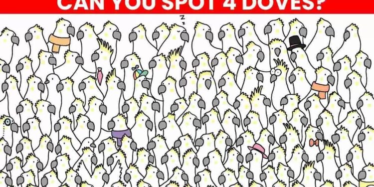 Μόνο το 1% των ανθρώπων θα βρει τα 4 περιστέρια σε 8 δευτερόλεπτα